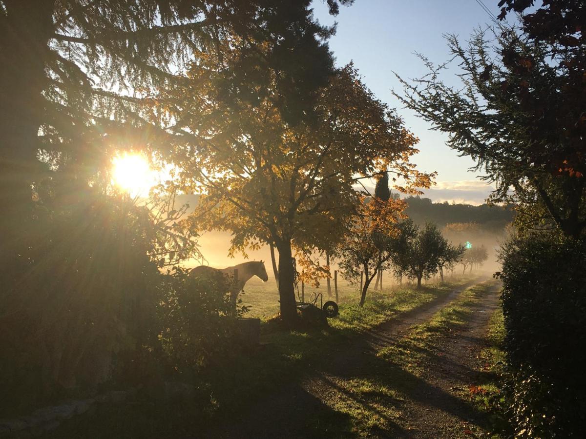 Mas De La Rivoire B&B Villevieille Eksteriør bilde